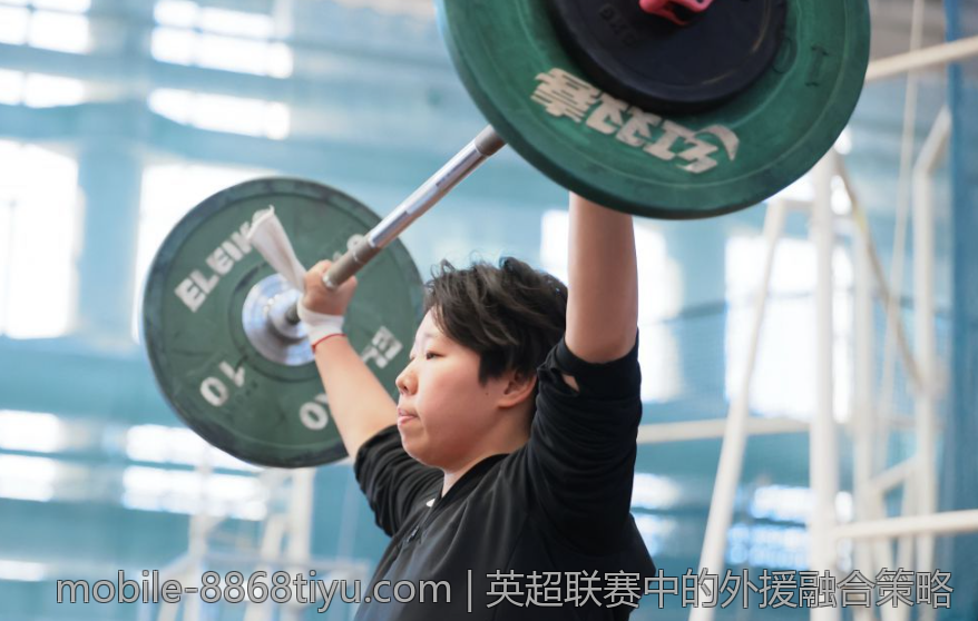 英超联赛中的外援融合策略