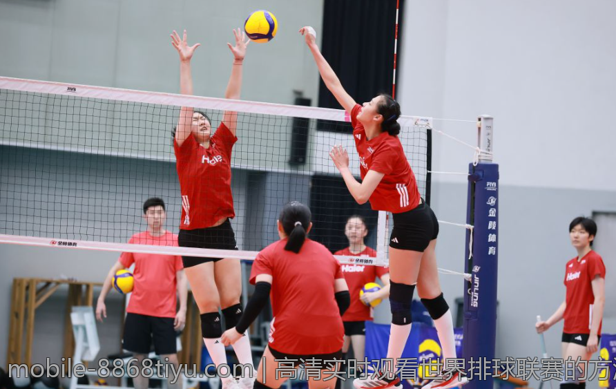 高清实时观看世界排球联赛的方法介绍