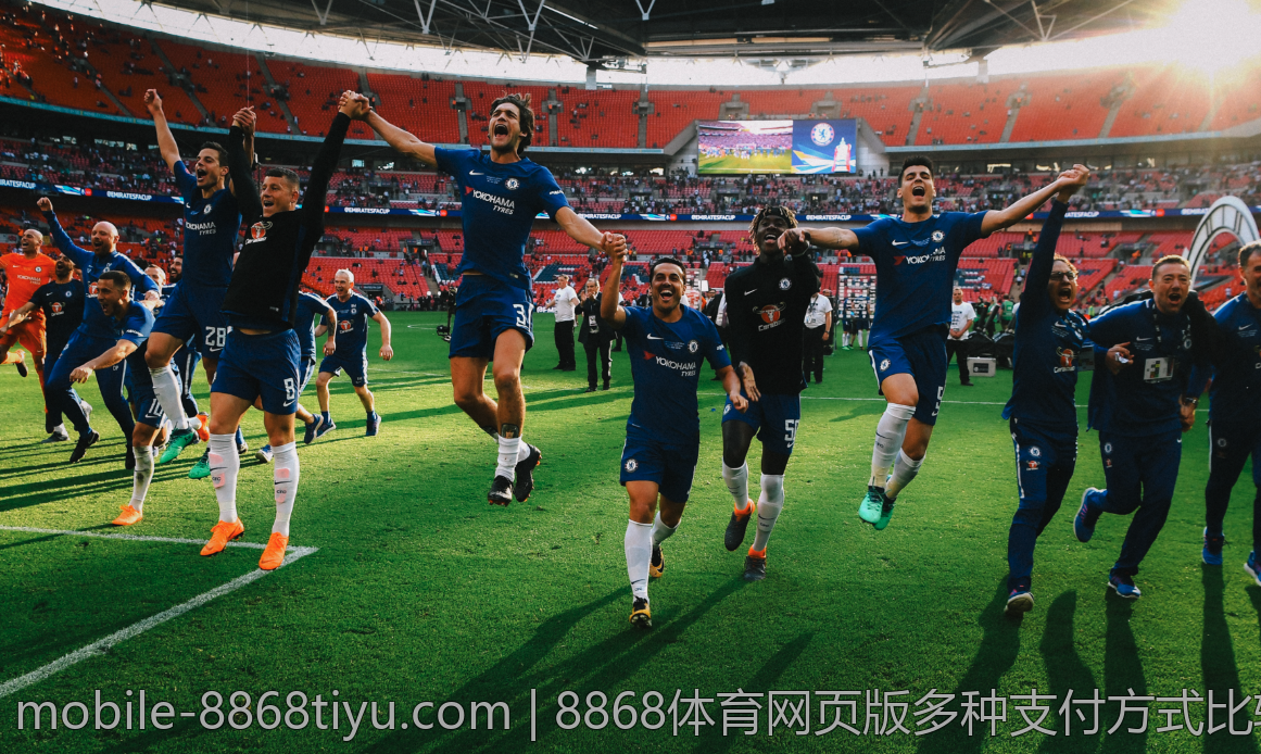 8868体育网页版多种支付方式比较